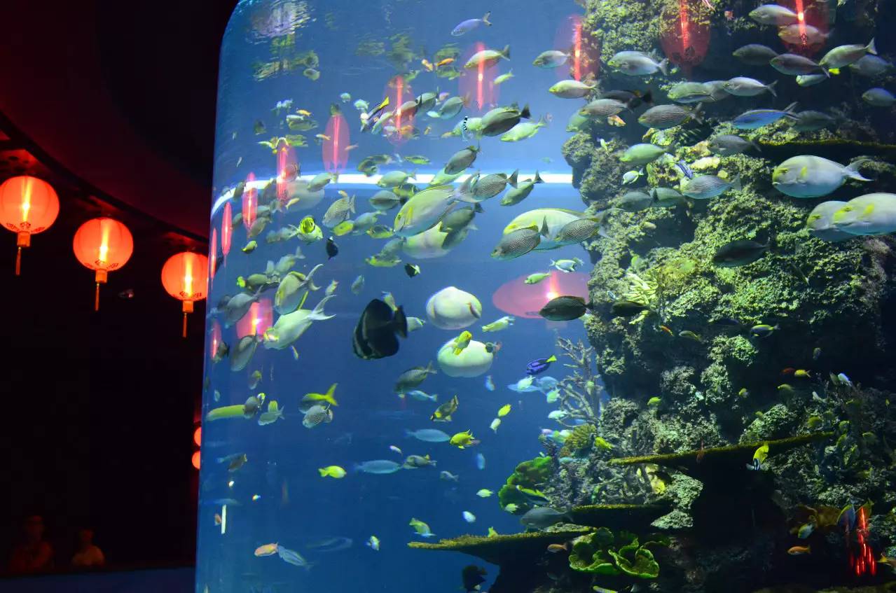 新加坡旅游攻略自由行圣淘沙,新加坡圣淘沙游玩攻略亲子