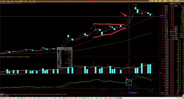 高级操盘手必备技巧,顶级操盘手的10个日常步骤供参考