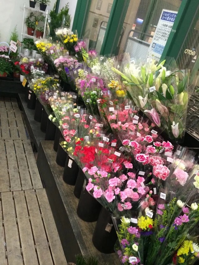 日本旅游马桶,日本旅游购物攻略一览表