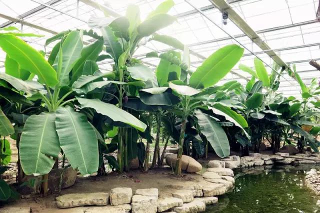 南通人可以免费的景点,南通人都去哪里玩