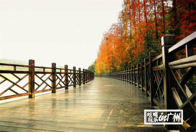 广州最新最美最好玩的景点,广州最值得去玩的景点推荐一下