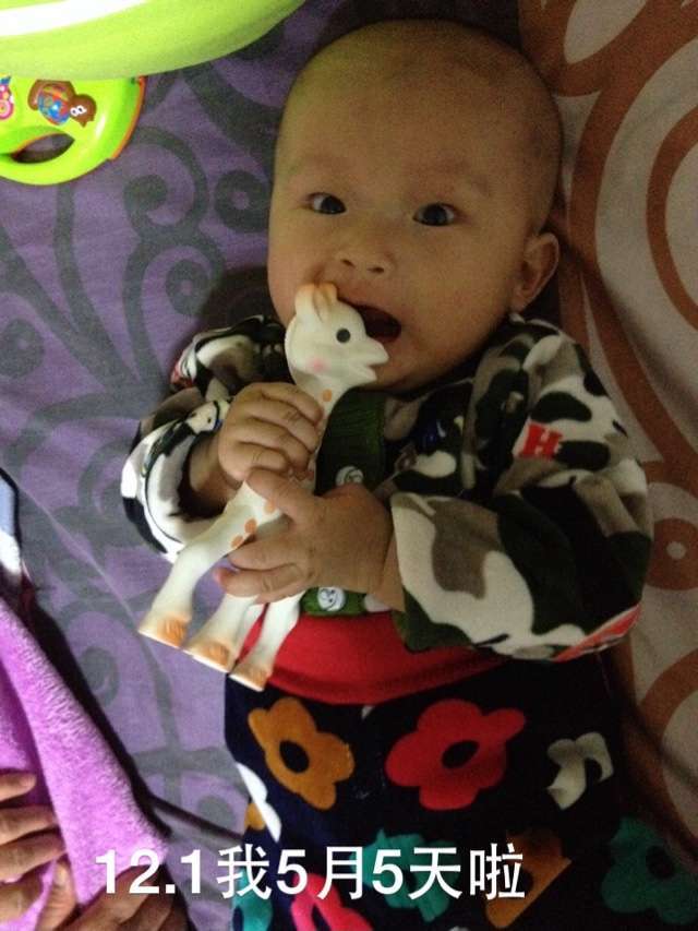 卓玛的牙胶开会喽~