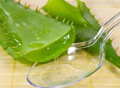 皮肤美容保湿用芦荟效果真的很好吗？