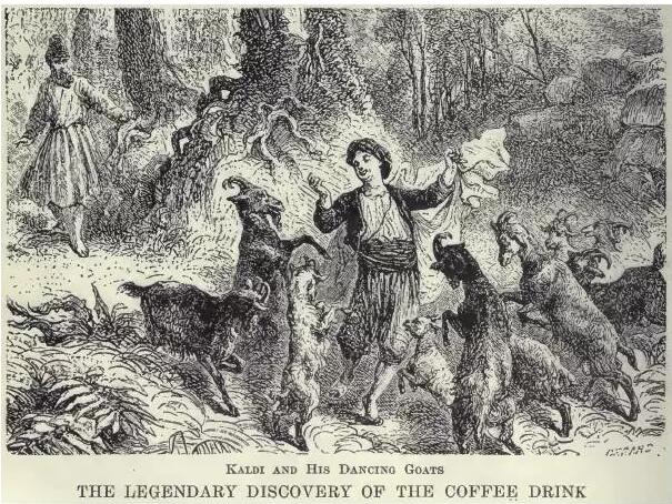 以illy为例,聊聊我们身边的咖啡革命