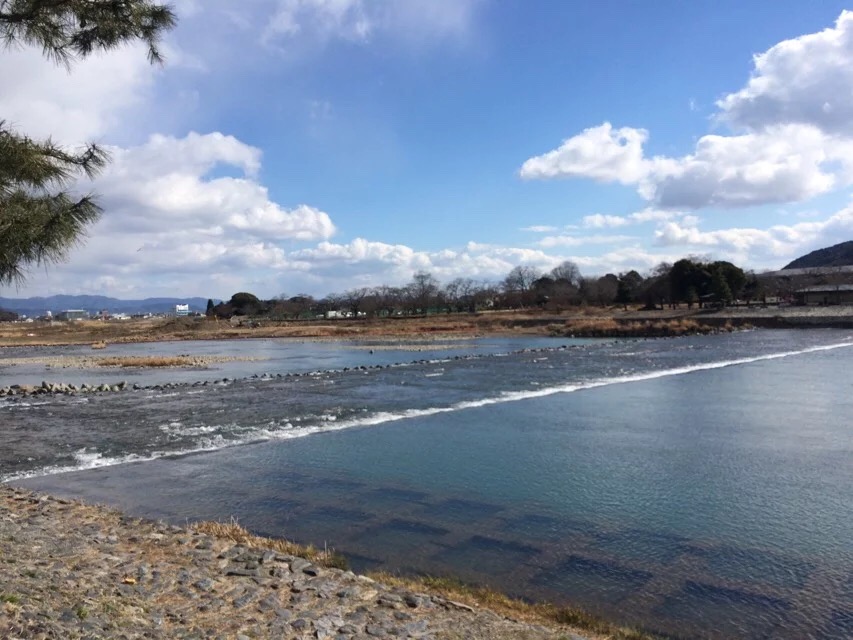 日本旅游马桶,日本旅游购物攻略一览表