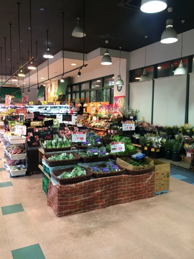 日本旅游马桶,日本旅游购物攻略一览表