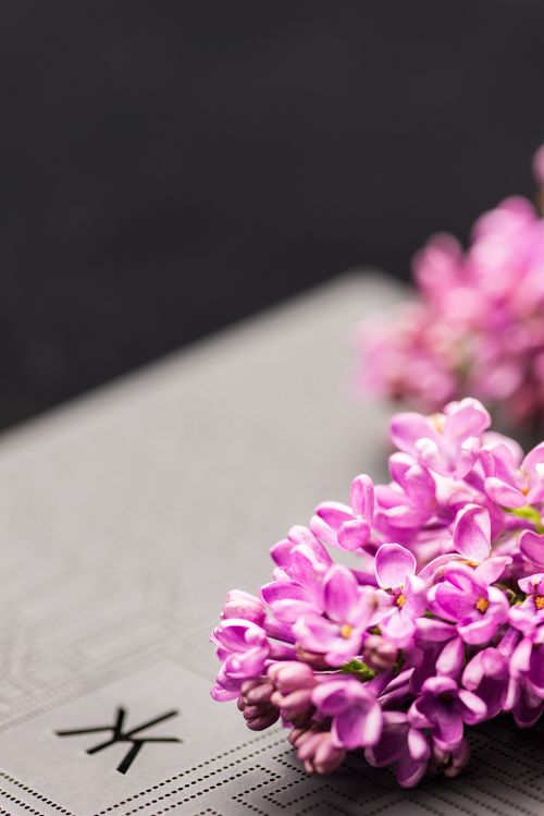 跨界花店营销技巧,中国十大花店营销策略是什么