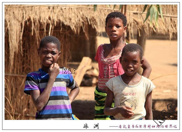 全头afro黑人烫发型,黑人女人发型图片大全