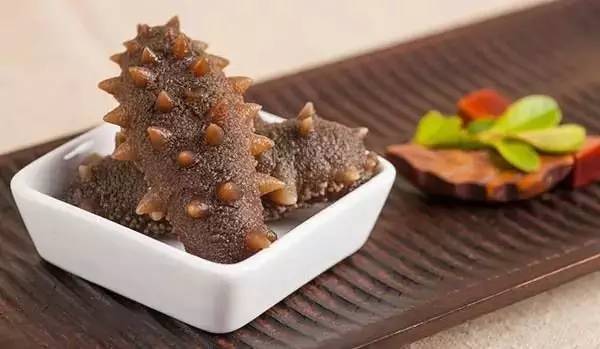 海参和海参原浆的区别和功效,红海参和黑海参的功效区别