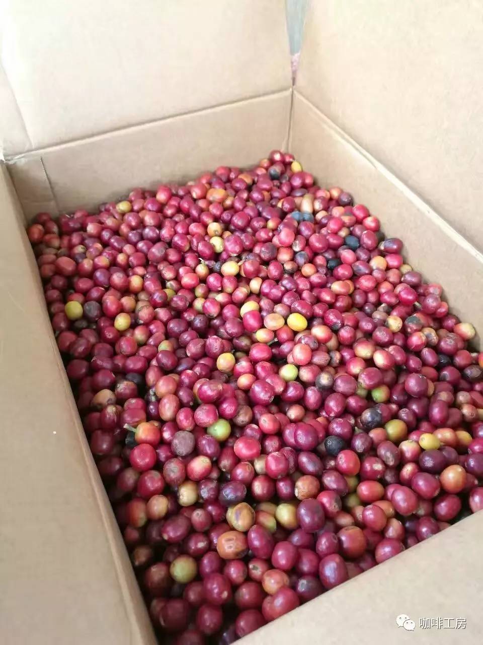 咖啡课堂星巴克,咖啡课堂