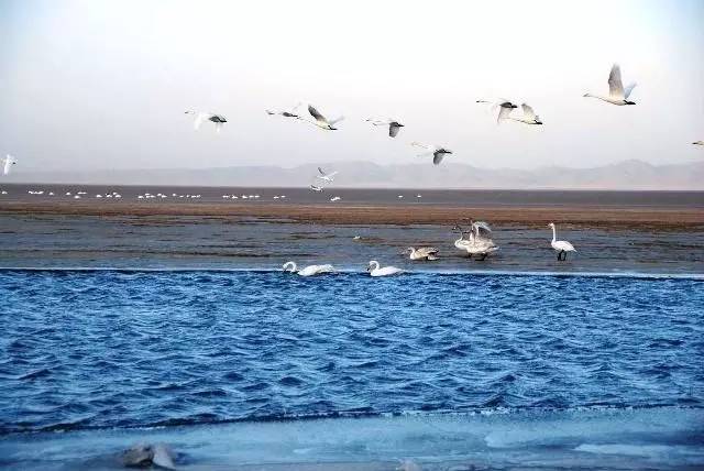中国每个季节的旅游攻略 (中国一年四季的旅游攻略)