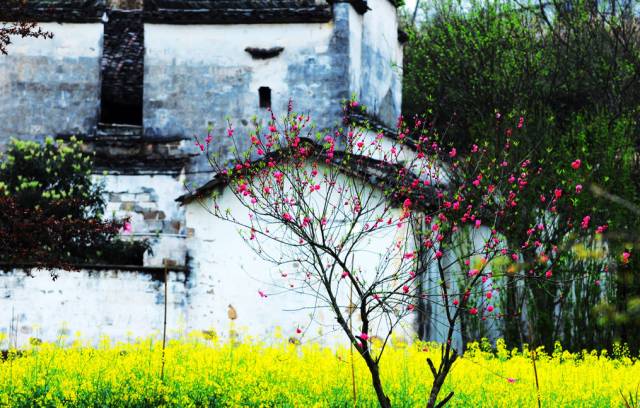 中国十四天旅行攻略 (顺着24节气游遍中国)