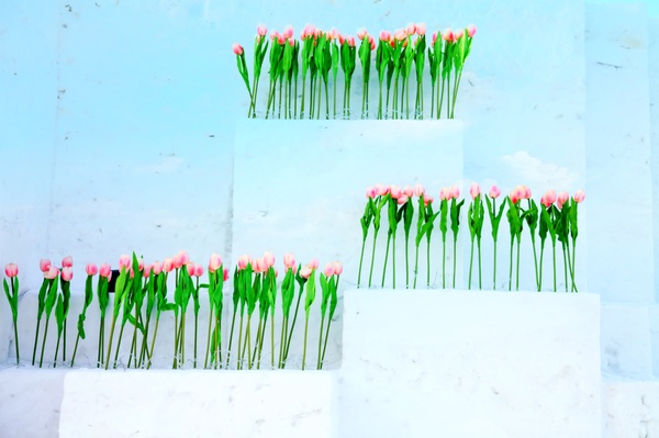 呼兰河口湿地公园值得去吗,十一去呼兰河口湿地公园能玩啥