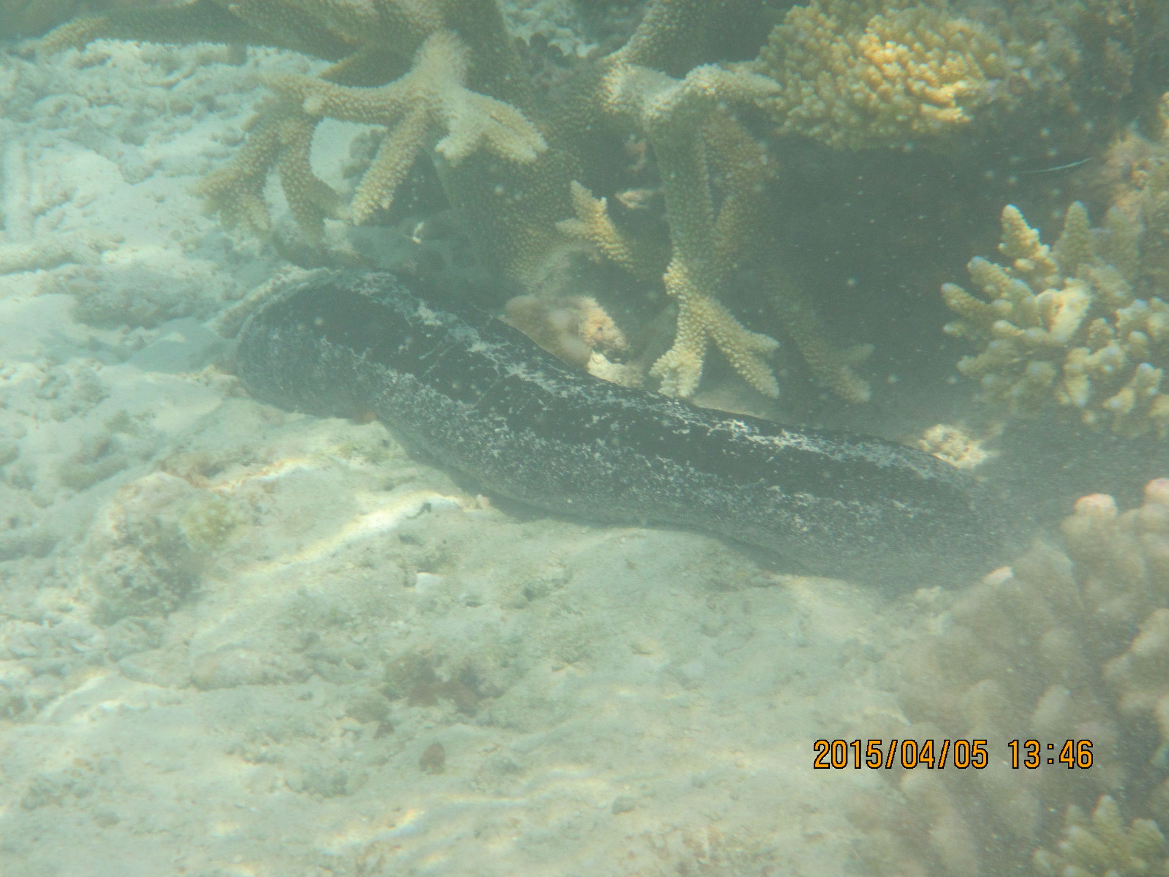 马尔代夫最美景色,最美马尔代夫风景