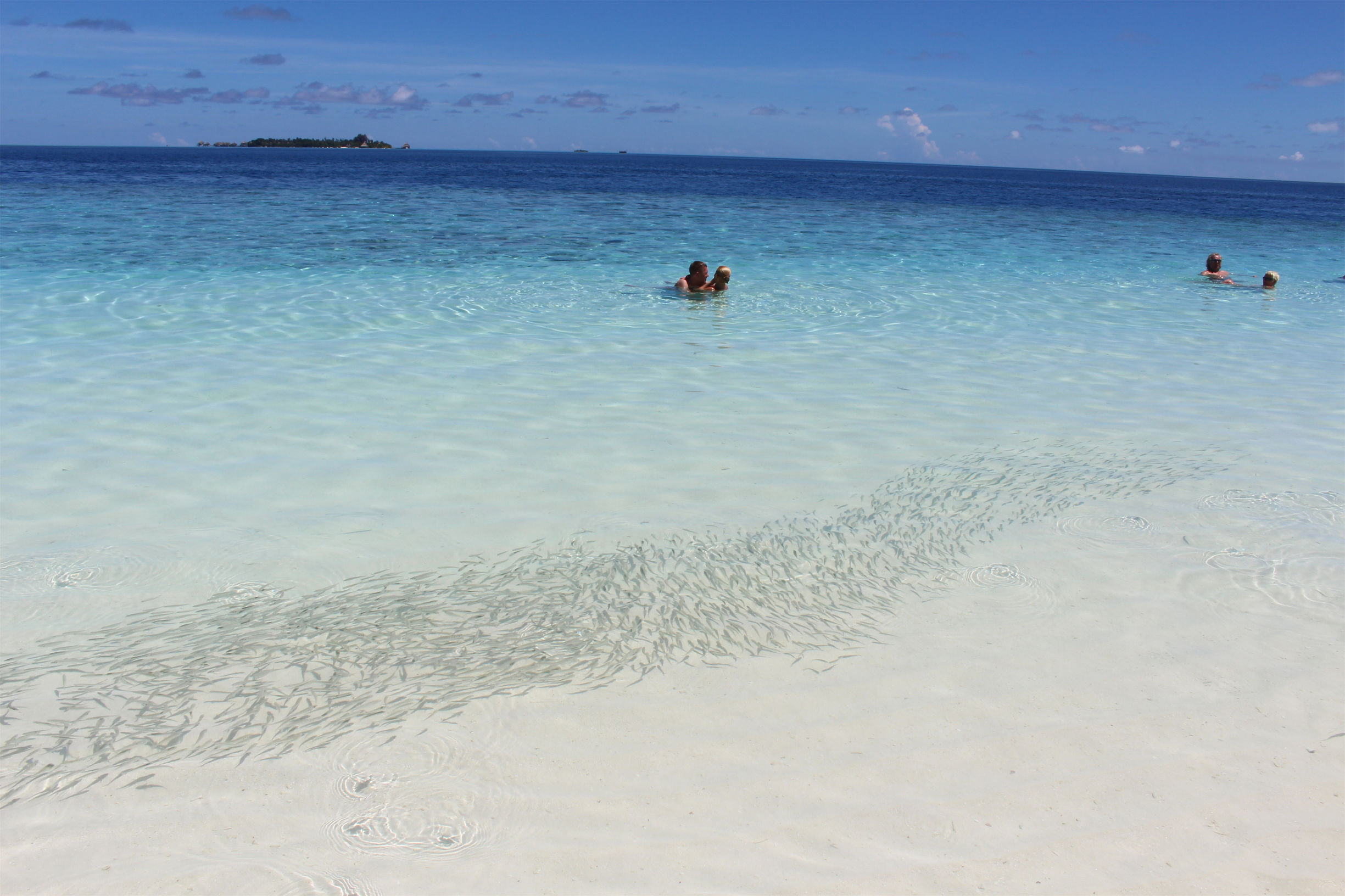 马尔代夫最美景色,最美马尔代夫风景