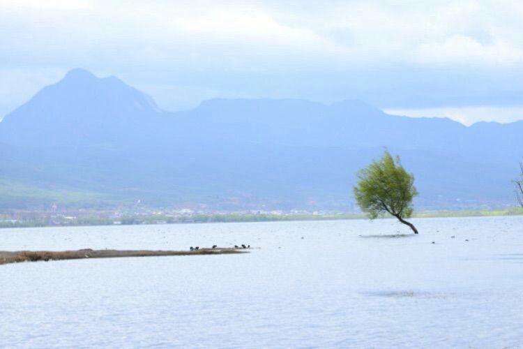 我在丽江那些柔软时光,丽江庭院之柔软时光