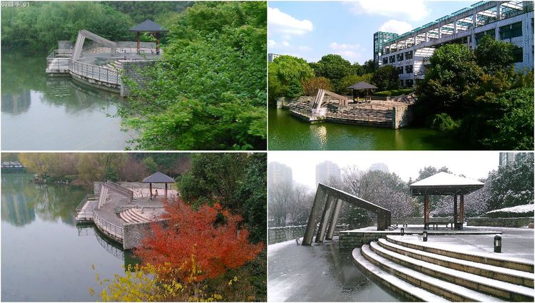 浙江大学是中国最水的大学,一分钟带你了解浙江大学