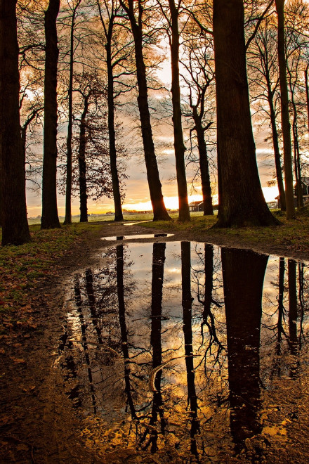 哀莫过于心死苦莫过于心寒图片,哀大莫过于心死悲大莫过于无言