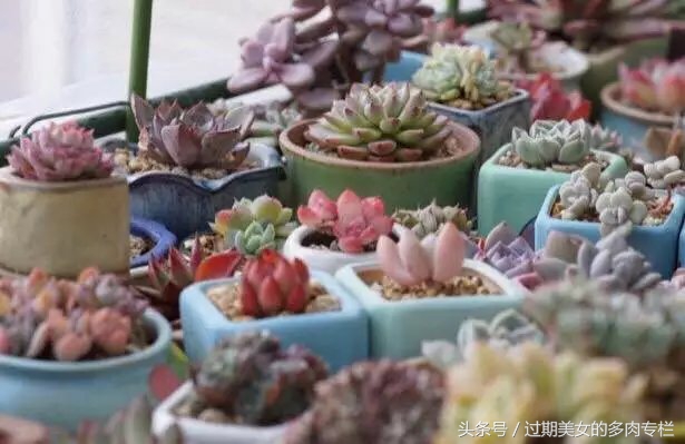 入坑一年小说,入坑一年