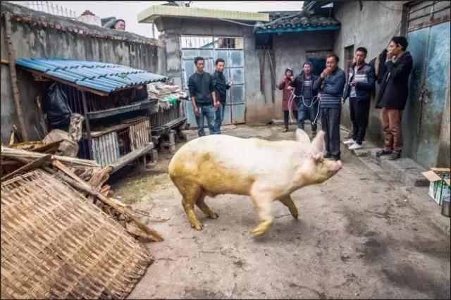 李劲松昭通,昭通李劲松