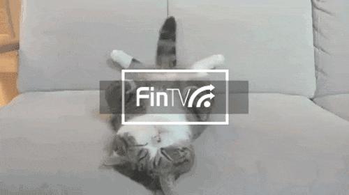 MMs生产商不只生产巧克力还收购动物医院抢尽毛小孩商机