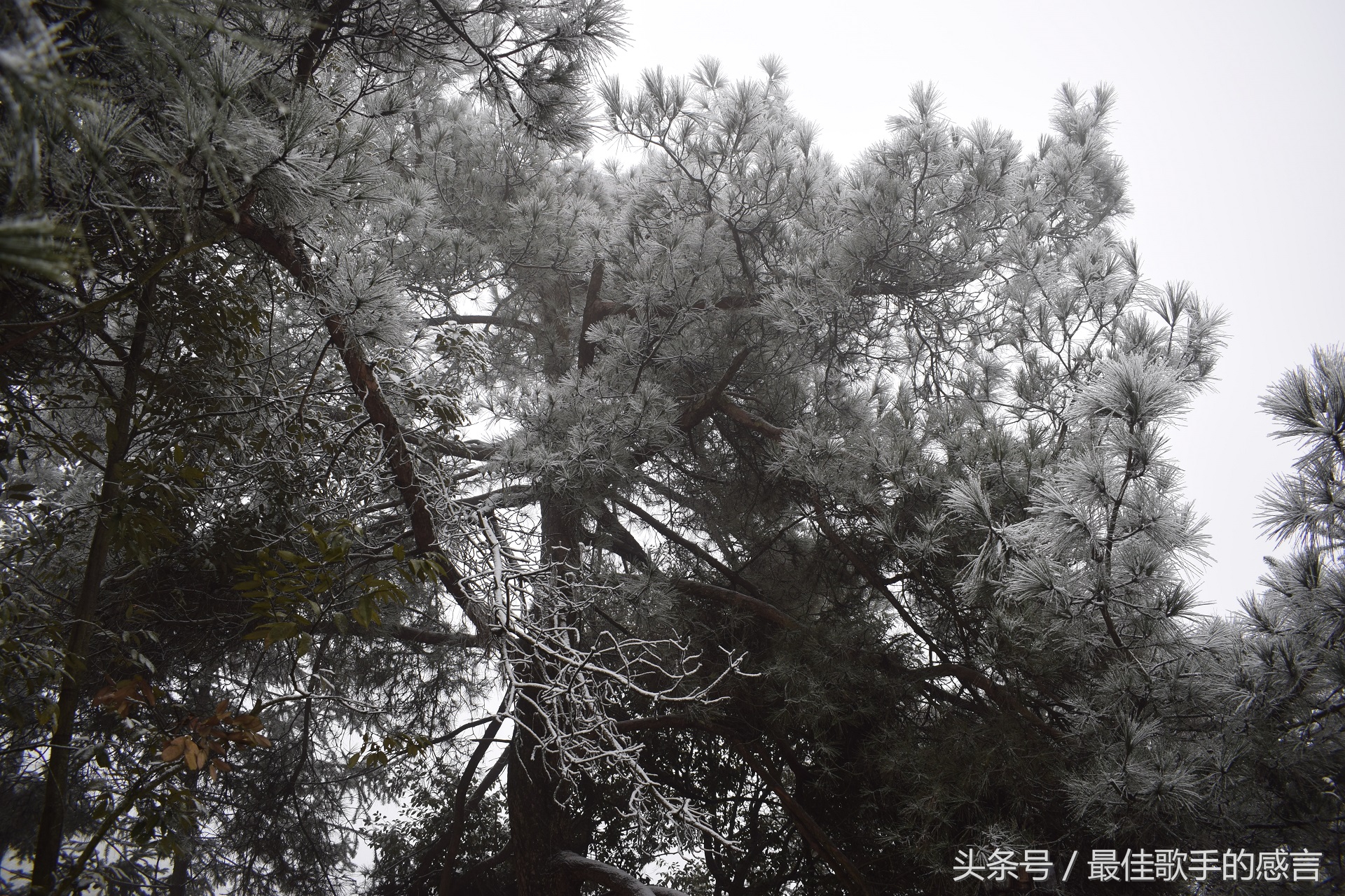 尼康d3300相机推荐新手入门,尼康d3300单反相机入门教程