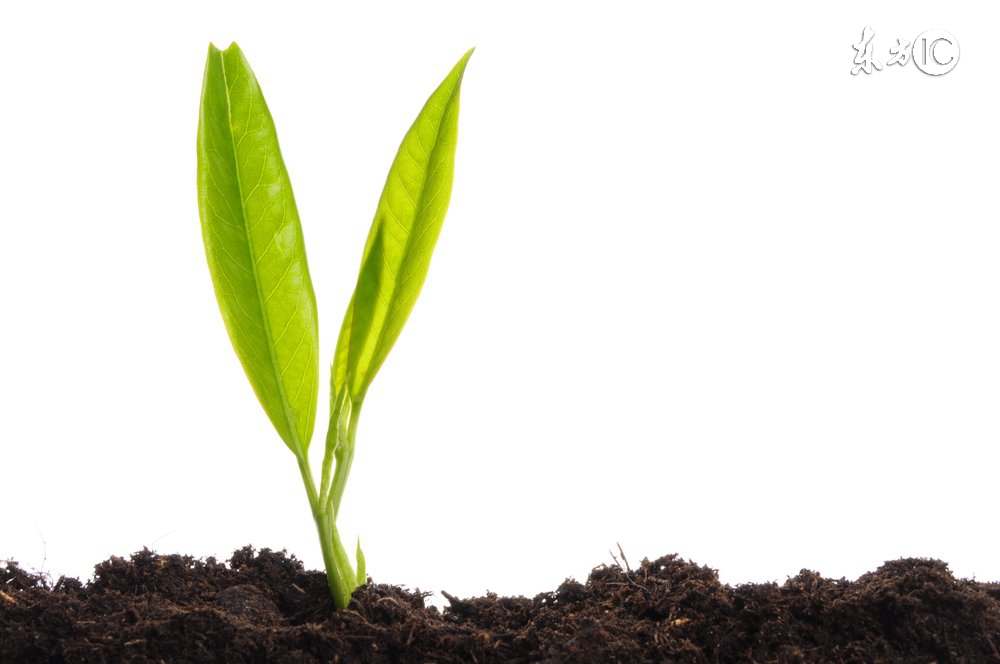 回顾与思考优秀教师成长启示录,教师成长之路任重而道远