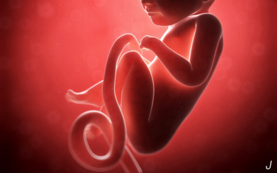 新生儿脐带还没掉怎么护理,新生儿脐带还没有完全脱落怎么办