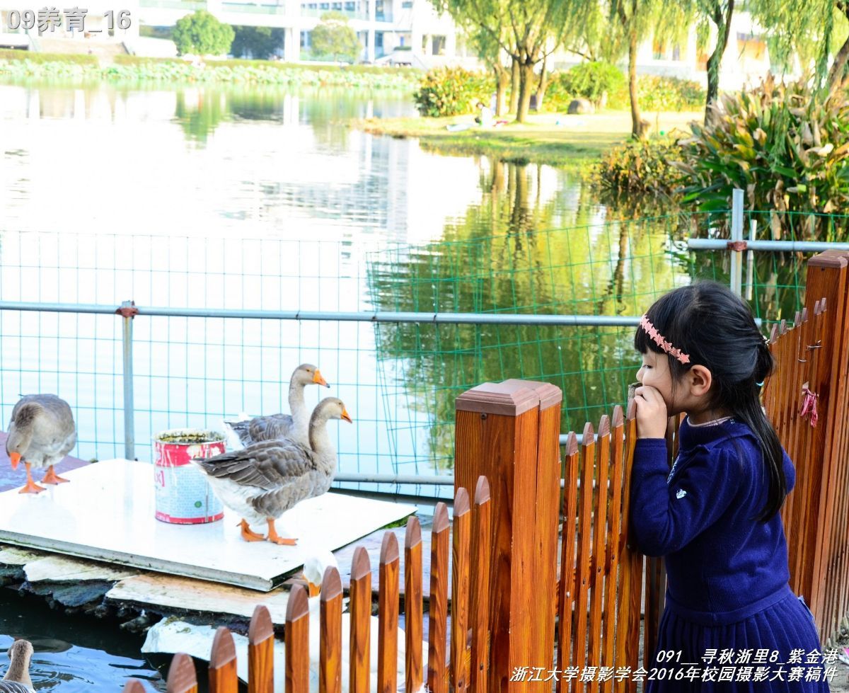 浙江大学是中国最水的大学,一分钟带你了解浙江大学