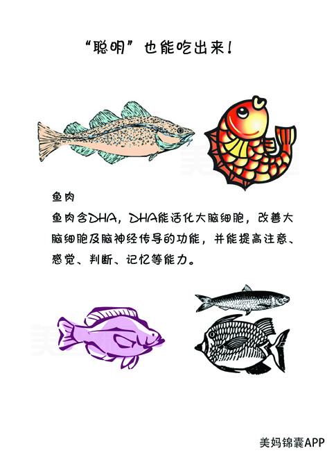 孕妇中后期要补什么元素,孕妇缺营养怎么办吃什么可以补