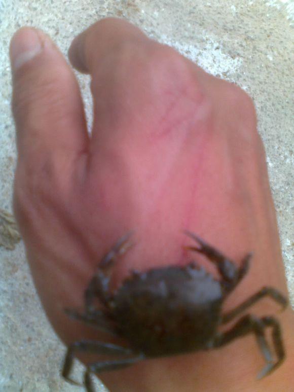 在农村钓鱼用什么虫子,农村钓鱼用什么饵料最好