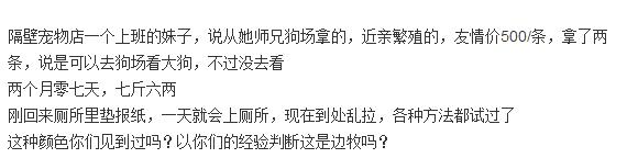 美女花1万多买中亚牧羊犬,妹子花1万多买的狗跑丢