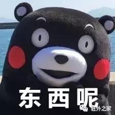 驻外不代购,要你有何用?!