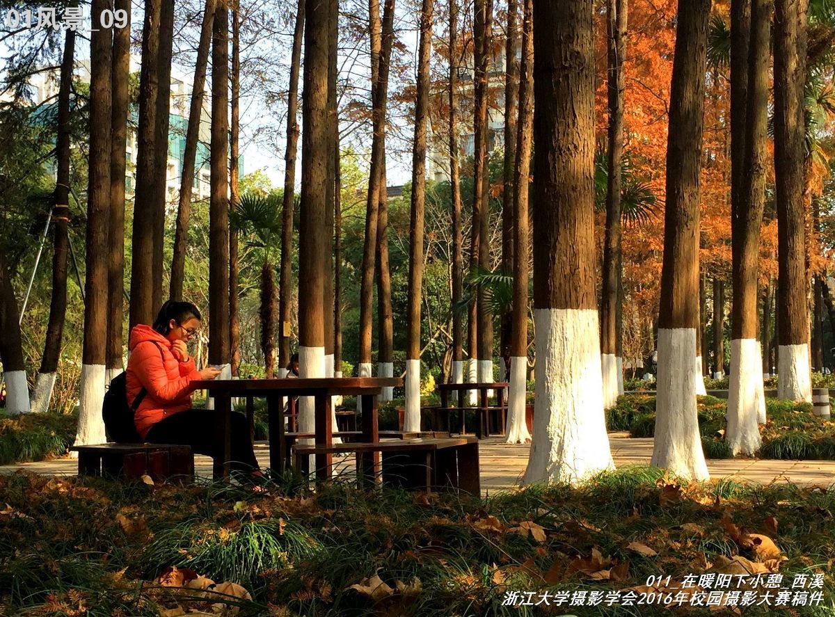 浙江大学是中国最水的大学,一分钟带你了解浙江大学