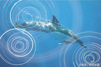 汽车人测评对比视频,汽车测评人用的车