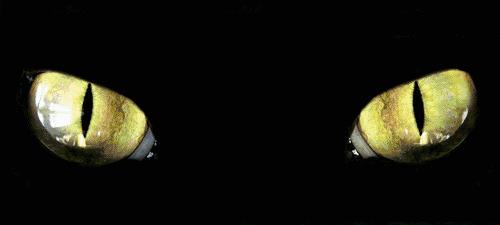 这具尸体一动不动，却制造了年度恐怖大戏！