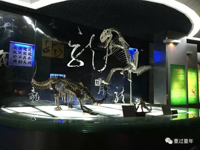 常州恐龙园省钱攻略,常州恐龙园恐龙穿越侏罗纪