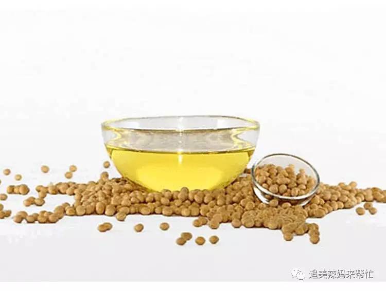 孕妇一般吃什么食用油比较好,孕妇适合吃什么食用油好