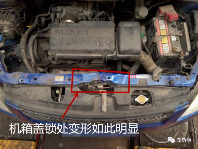 购买几千雨燕,买雨燕被坑