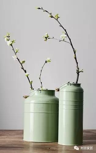 用植物点缀空间，请先抛弃老土花器