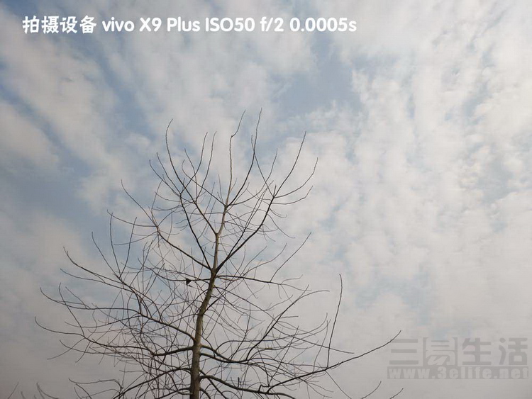 vivox9plus详细评测,vivox9plus拍照测评