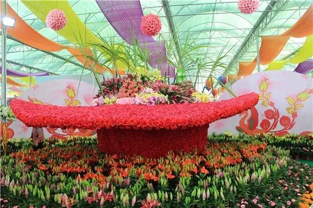 就在今日,百万鲜花盛放!南海这个“花花世界”等你来赏!