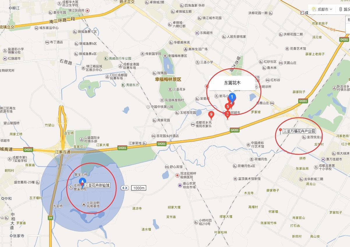 过年好看的年宵花,年宵花摆什么好看