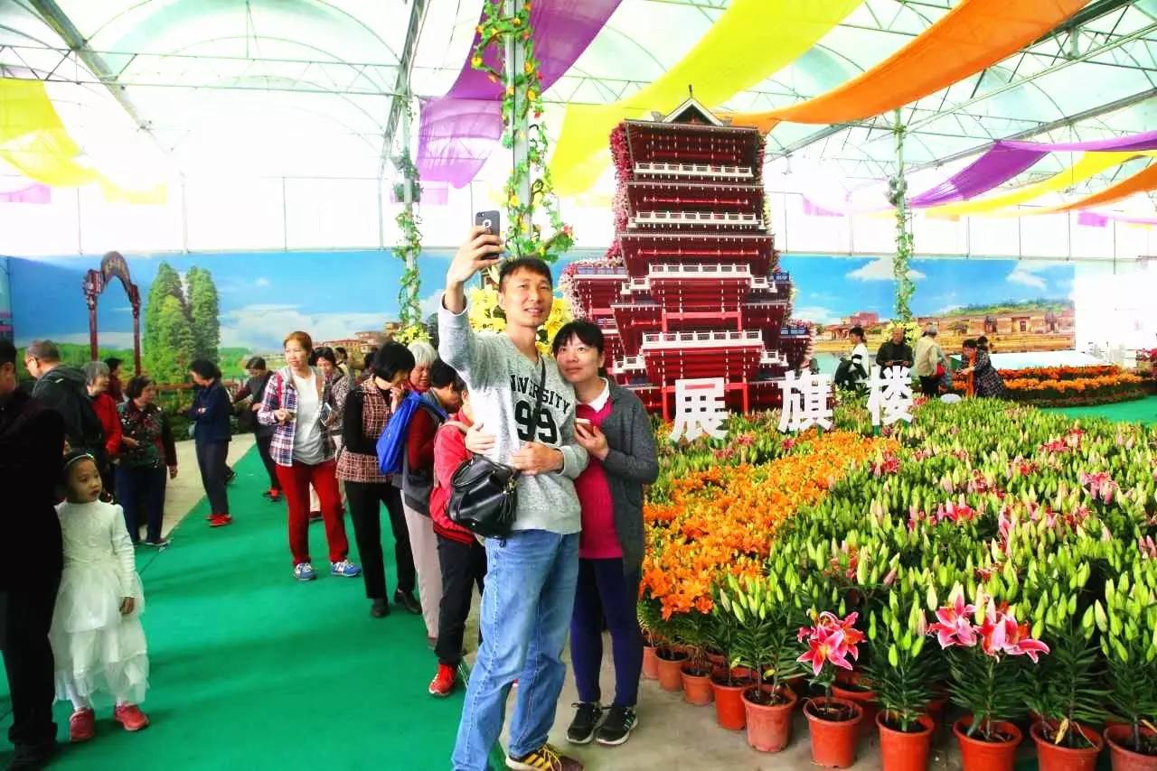 就在今日,百万鲜花盛放!南海这个“花花世界”等你来赏!