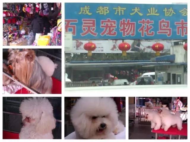 呕心整理！成都人年货采购地点最全攻略都在这！赶紧收藏！