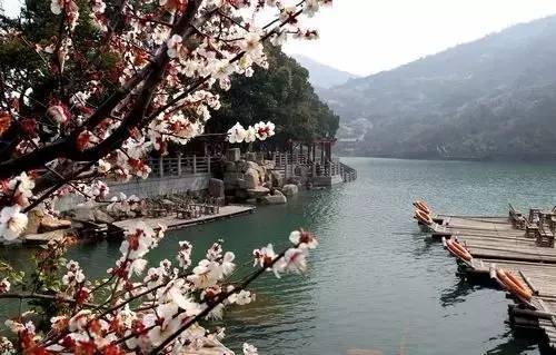 苏州春季梅花免费观赏胜地,苏州梅园赏梅花时间