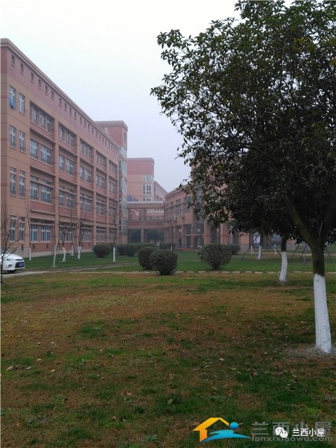 挂着“树德”的名,实际和本校到底啥关系?