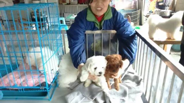 成都年货必备清单一览表,成都年货采购攻略