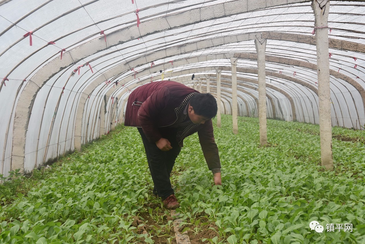 走进侯集，体会咱农民身边的些许变化