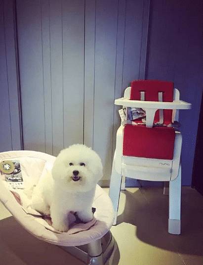 贾静雯家的咘咘现在多大了 (贾静雯咘咘饼干)